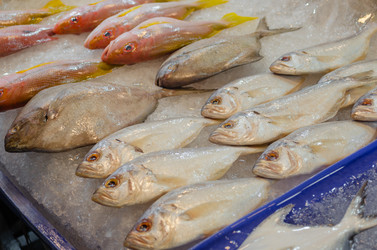 Similar image 21385526