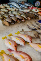 Similar image 21385527