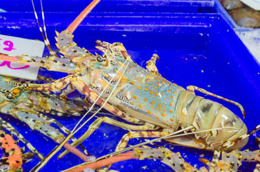 Similar image 21385531