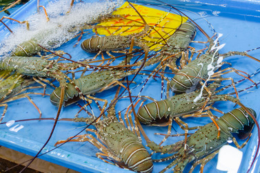 Similar image 21385533