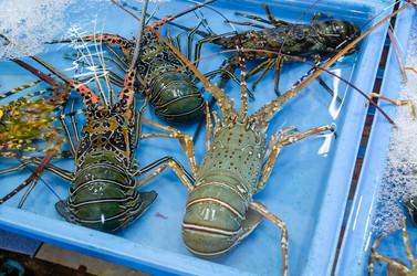 Similar image 21385534