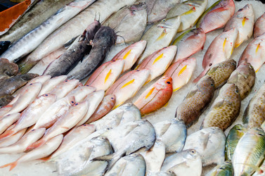 Similar image 21385535