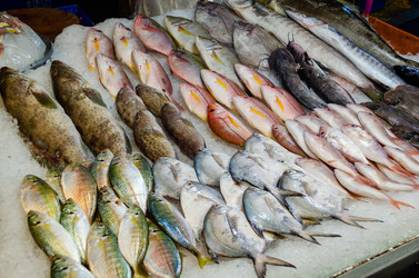 Similar image 21385536