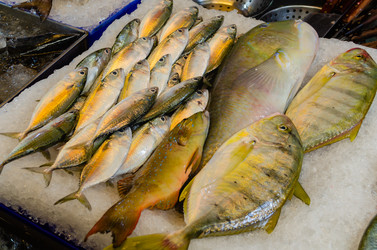 Similar image 21385537