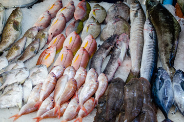 Similar image 21385538