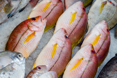 Similar image 21385539