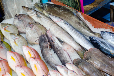 Similar image 21385540