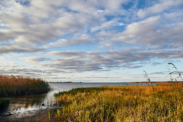 Similar image 21382344