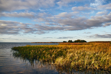 Similar image 21382346