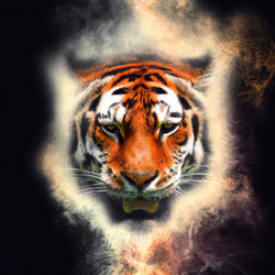 Similar image 21415845