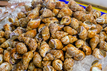 Similar image 21385541