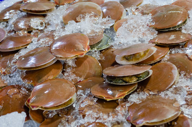 Similar image 21385542