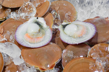 Similar image 21385545