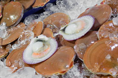 Similar image 21385546