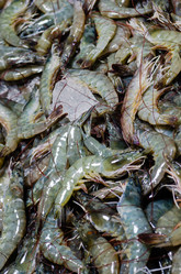 Similar image 21385547