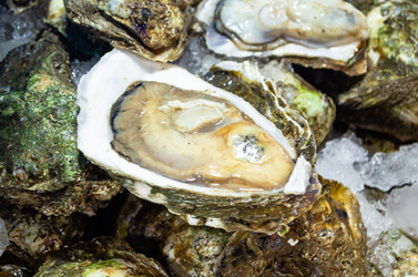 Similar image 21385548