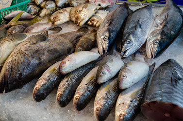 Similar image 21385549