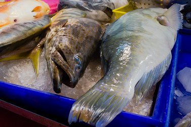 Similar image 21385550