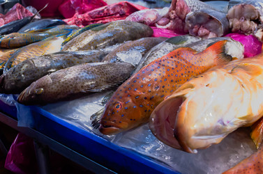 Similar image 21385551