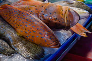 Similar image 21385553