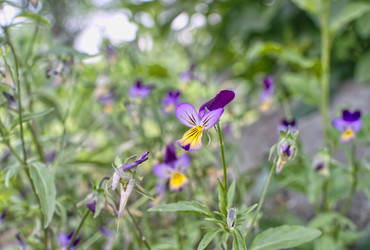 Similar image 21385386