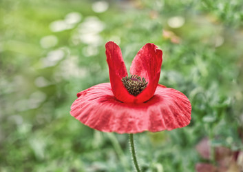 Similar image 21385387