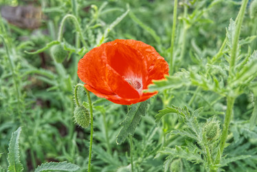 Similar image 21385390