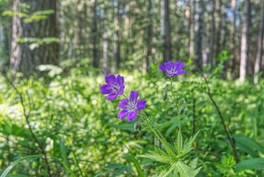 Similar image 21385555