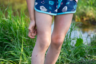 Similar image 21388879