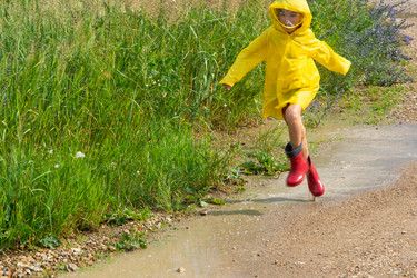 Similar image 21388935