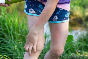 Similar image 21388948