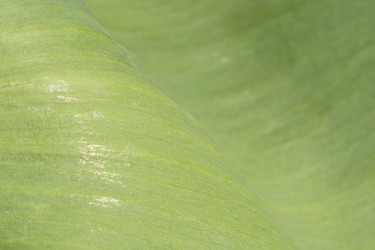 Similar image 21384026