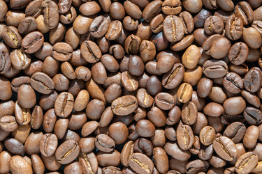 Similar image 21384031