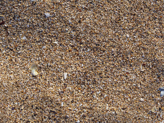 Similar image 21384033