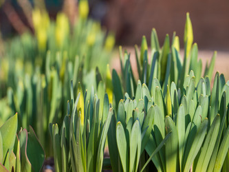 Similar image 21384035