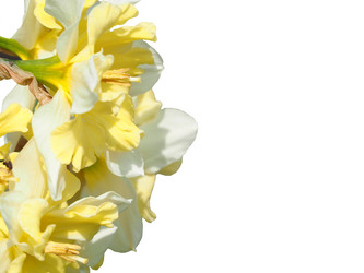 Similar image 21384037