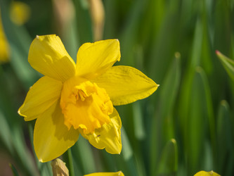 Similar image 21384038