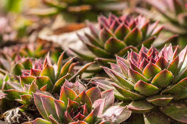 Similar image 21384039