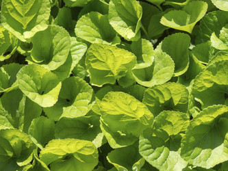 Similar image 21384041