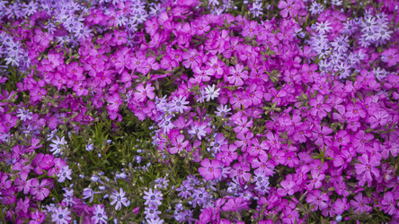 Similar image 21384044