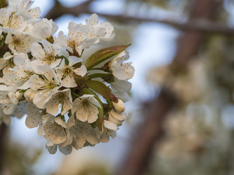 Similar image 21384045