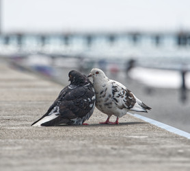 Similar image 21385376