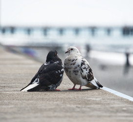 Similar image 21385377