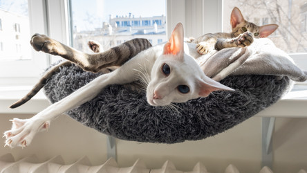 Similar image 21382670