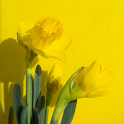 Similar image 21382671