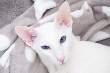 Similar image 21382672