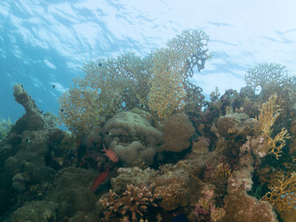 Similar image 21382674