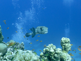 Similar image 21382676