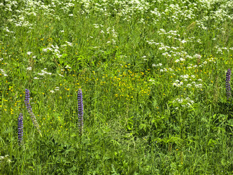 Similar image 21385557