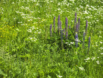 Similar image 21385558